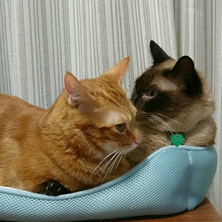 49ebd010 6967 4905 8067 68f65b7abf34