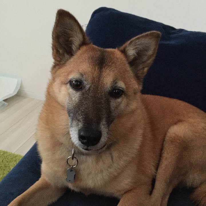 49ec0118 c255 4f41 bc59 25c8415c54a1