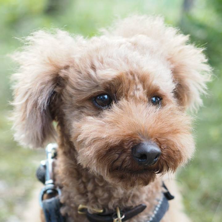 49ecd6c0 7624 47c3 a451 7cad5c85d143