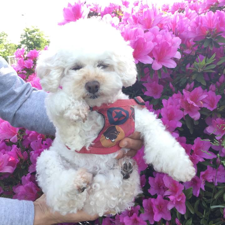 49ecdd7f 9f1c 4fab ba89 28fd84843ab0