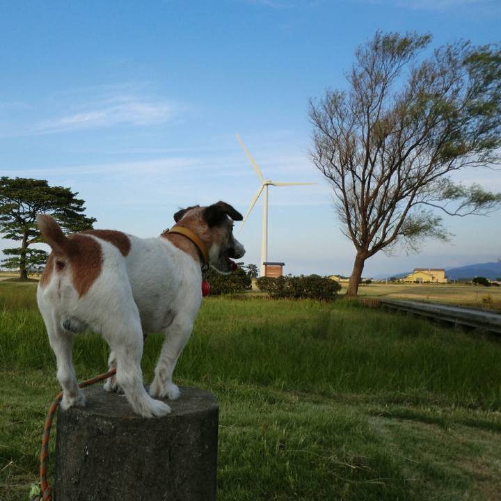 49ecf56a cbae 4b4f b7e4 52b80af11747