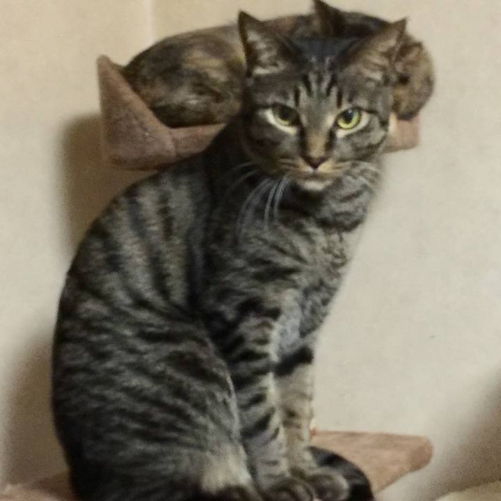 49ed67a3 4e53 48a4 a149 b86721199826