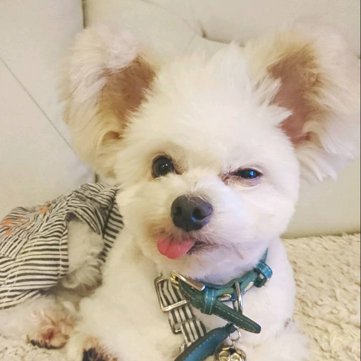 49eda1bc 682a 4e46 9ad7 ff8a6e139e60