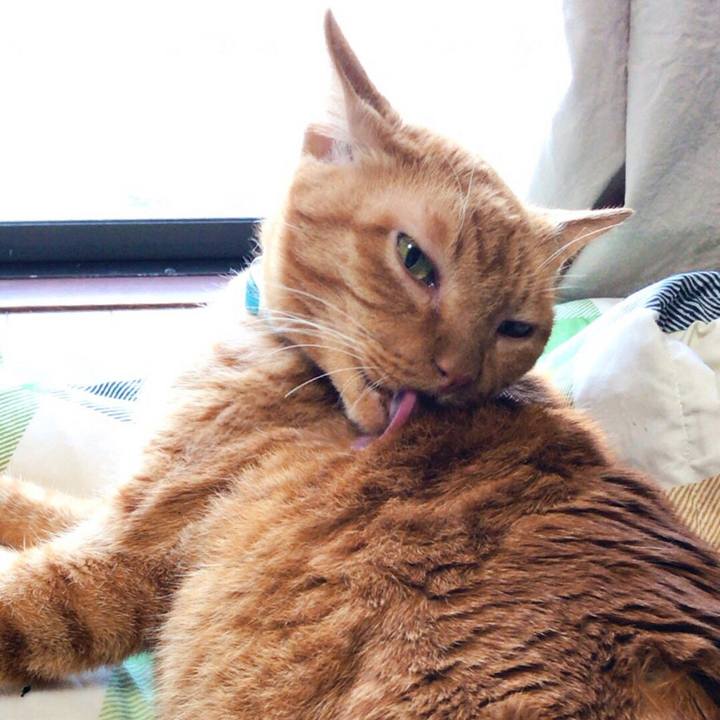 49ee6ae4 aa1a 4b3e 9061 f1c68dacfc43