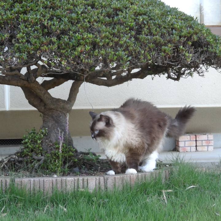 49eefb7a d531 48d1 a7a2 f3ec7bb058d1