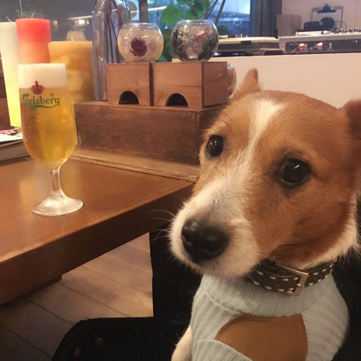 49ef9cef d54f 489f a208 1b7010af904c