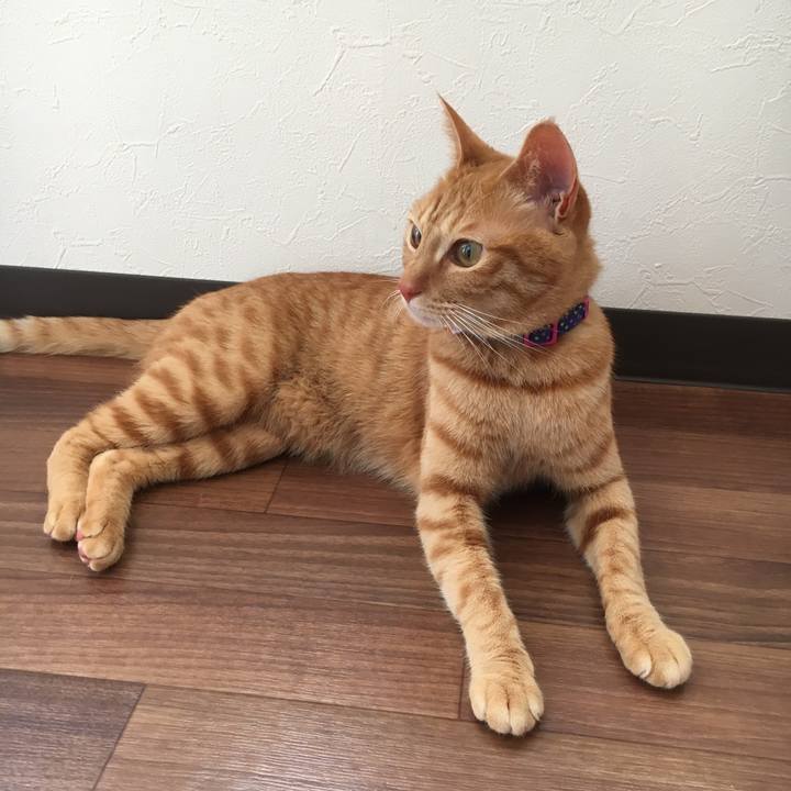 49efa191 0336 4a70 a360 9e4e70e2f334