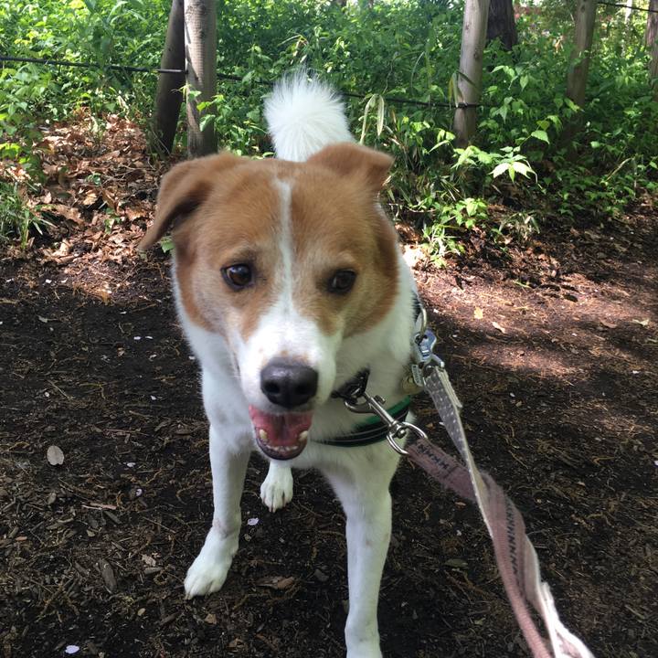 49f0d5bd 2d7a 4df3 b37a 34c61642ec32