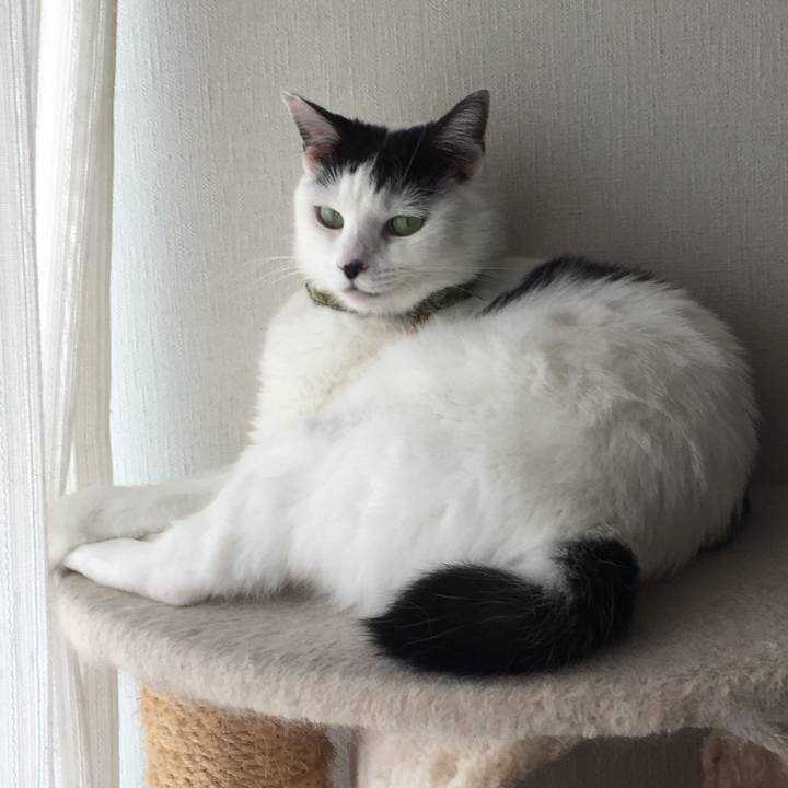 49f0fc00 1a14 4e39 9567 987f5080b2ef