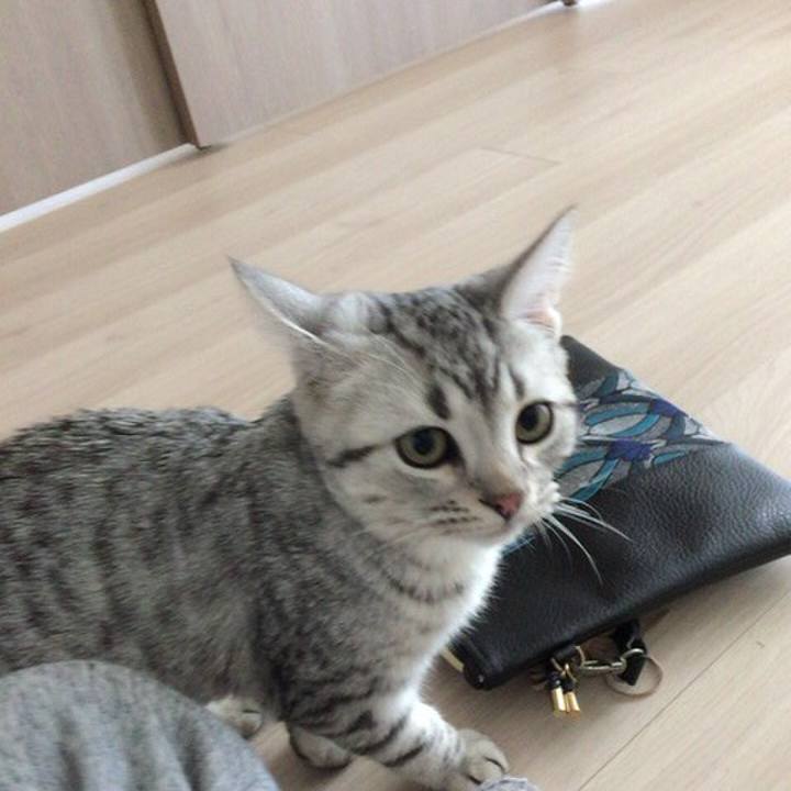 49f1aeca 755b 4dcb 91ea 6902012599be