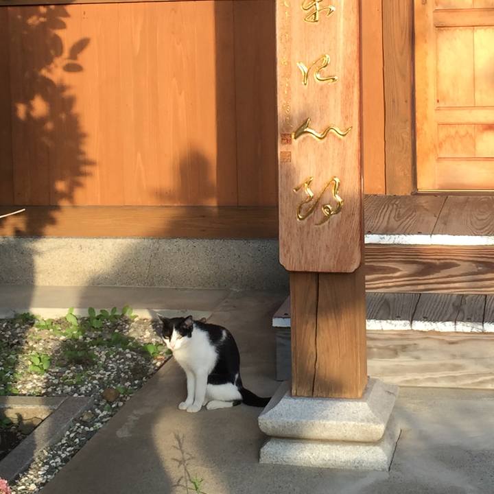 49f1f2ea e4a6 48bb a821 214e978849d1