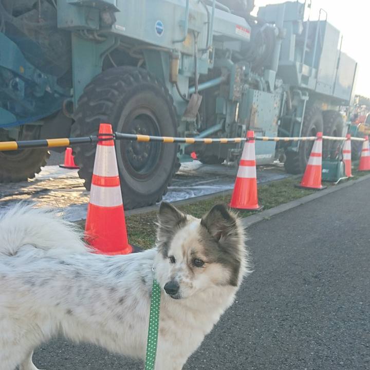 49f26974 46f3 4da7 a6a6 bf65f823c99d