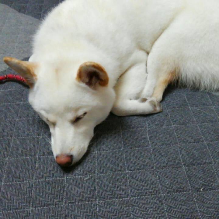 49f2a4b8 23a8 45b1 a123 278e0584a6f5