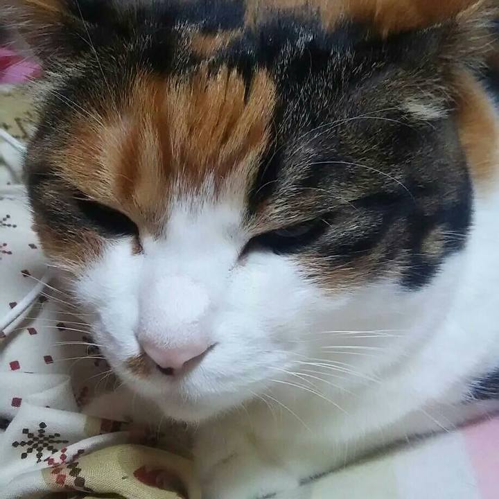 49f30352 687c 40fd bd7c 822f85ba0657