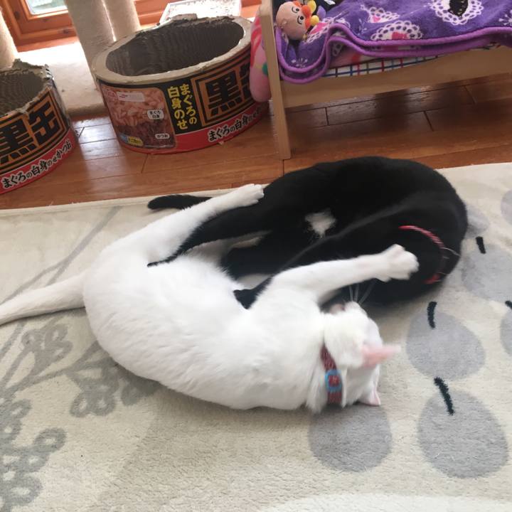 49f3719c 813a 47de ba04 edc5b7382ed5