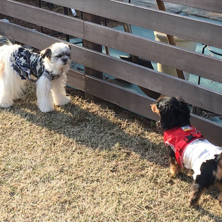 49f42a3e 4359 4f3a a00a b4d000bf6671