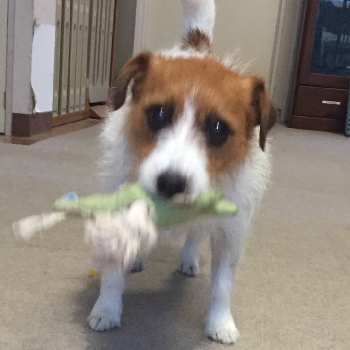 49f51bf7 8200 45cf 806f 232ee2d8dec6