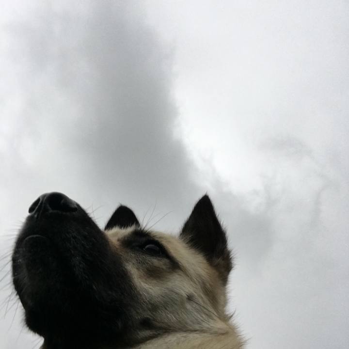 49f54cc8 72ef 409e b772 c81abf20e9e6