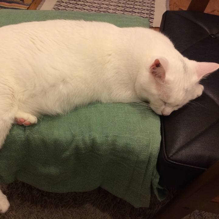 49f58ccc eec8 4f44 acfe 4ab5fcdbfd6d