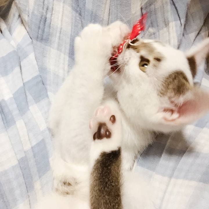 49f591ea 811c 4b5f 8d3a 60cd8c1d8e01