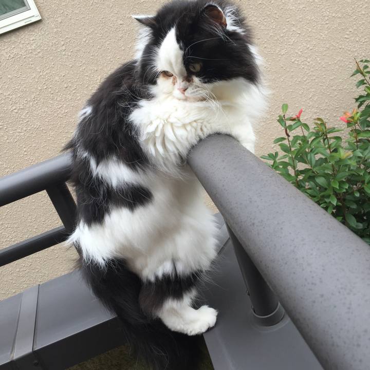 49f598af 5686 463c 8923 74ac25958d9a