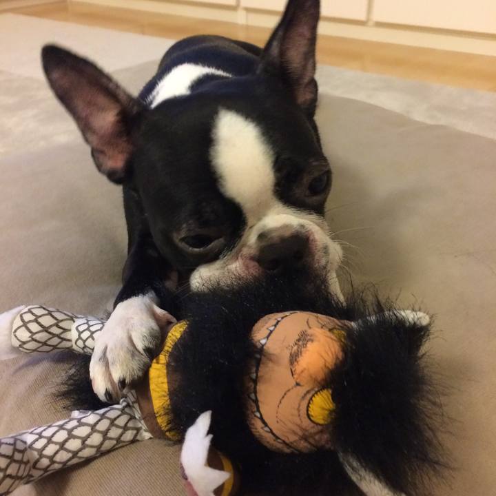 49f5b71f 1460 4baf b9eb f698c1a1ec1b