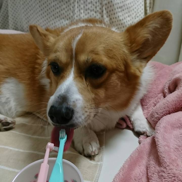 49f5c587 4a9b 4b5c 9e8a 4f1b34e149e6