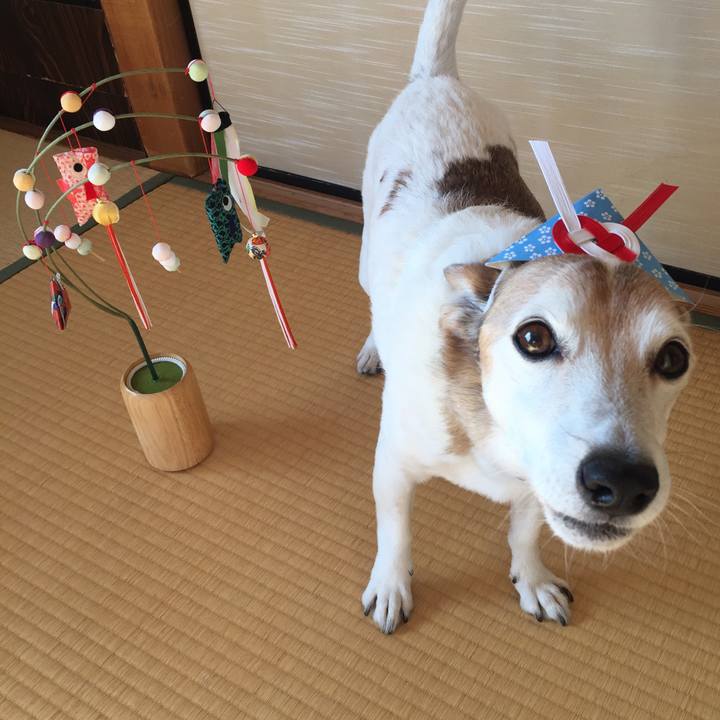 49f650d6 b647 43f5 8c3a 12ed3e28dfe8