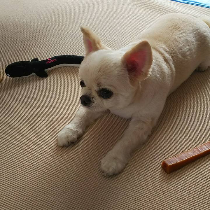 49f6ec8c 5dcf 4967 b1c2 6e2825e0f732