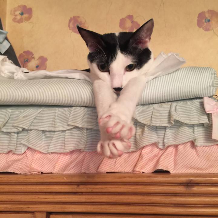 49f6ecf1 f585 46d4 adf3 e033e628ed20