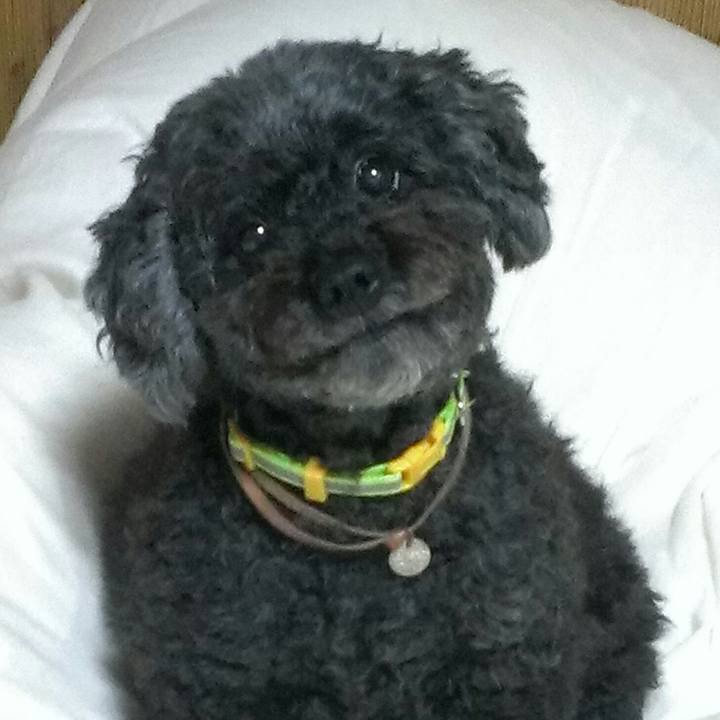 49f7917e b6c5 4600 825c 02cabb702b74