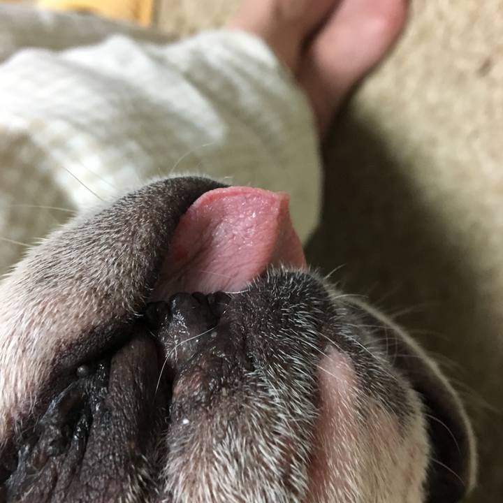 49f8437d eb8a 42fa 88bc 1ecc1377c7ea