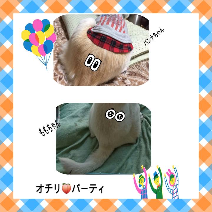 49f86aec 515f 44a0 8ae6 b2aec4706b04