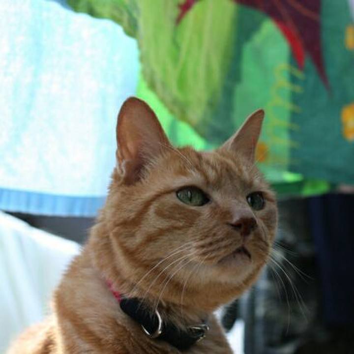 49f8aa0e 633c 4003 bf56 5b2951d143d0