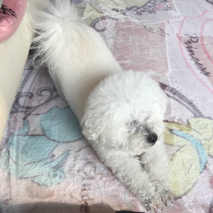 49f8dadc b1c4 4646 a5ab f6e78ac6fcaa