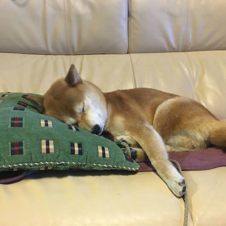 49f8ea14 3372 4040 ae46 f4102cdc9a94