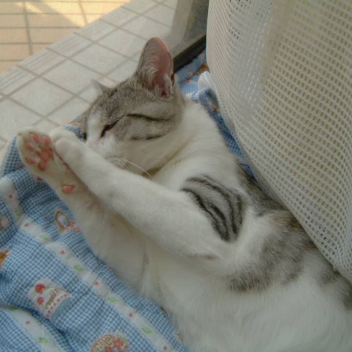 49f95f5f 95b7 4382 b15a 45cedb804faf