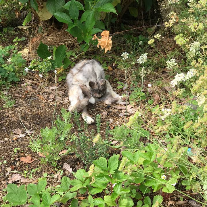 49f9cce4 f2a8 4911 9c26 699a1de5de3f