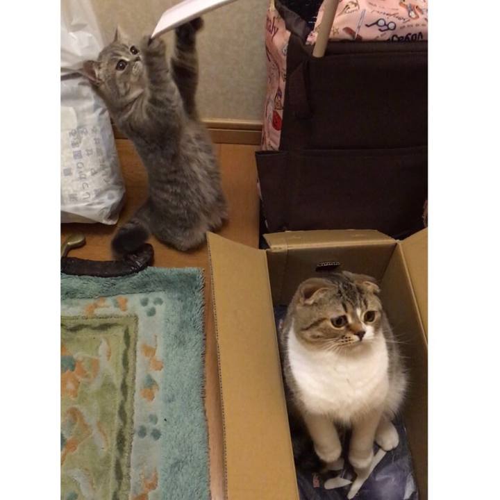 49f9d5af 7168 4e46 b48b 803db8bd1b71