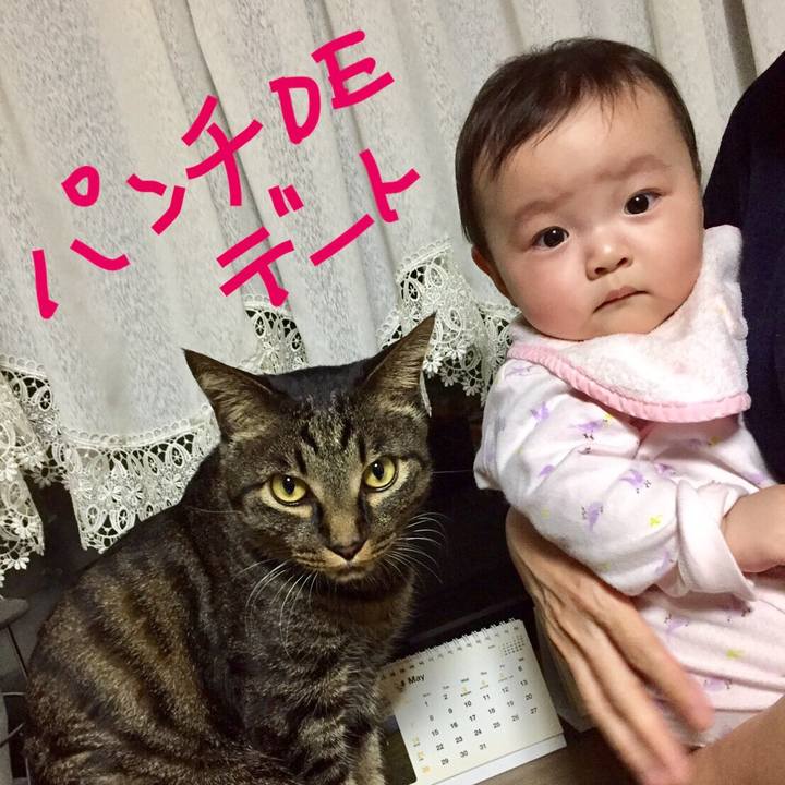 49fa03a1 caeb 498a 903a 152ec8cdd000