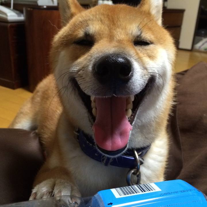 49fa1f57 1e95 45cc a6a9 b3940322f694