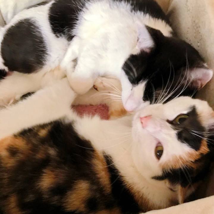 49fa5413 faf4 47a0 bbec 7c8649b085aa