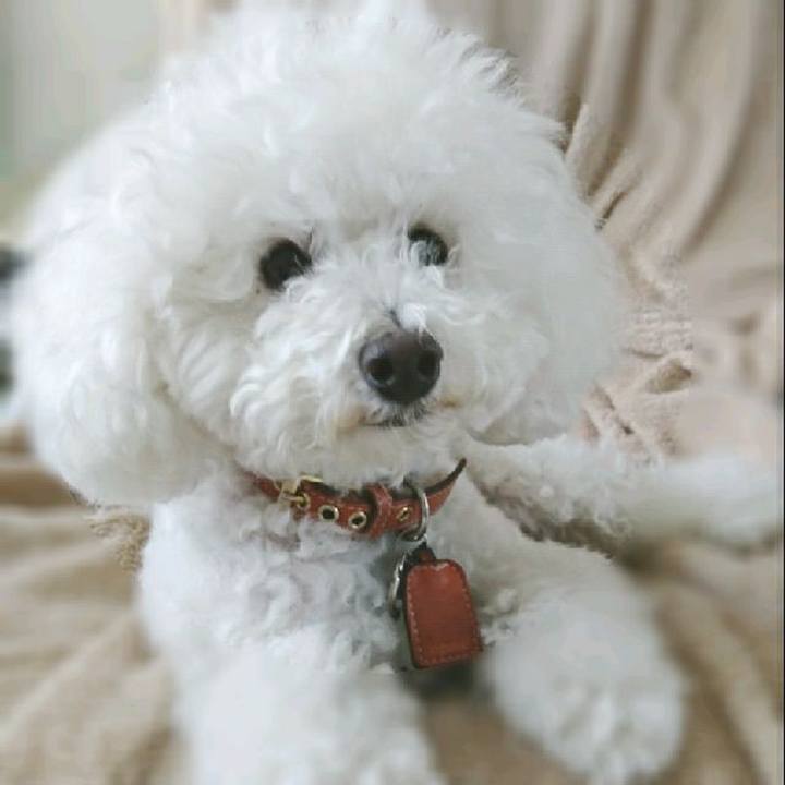 49fa98f9 30bd 4277 809c ba5fa8a8c6bf