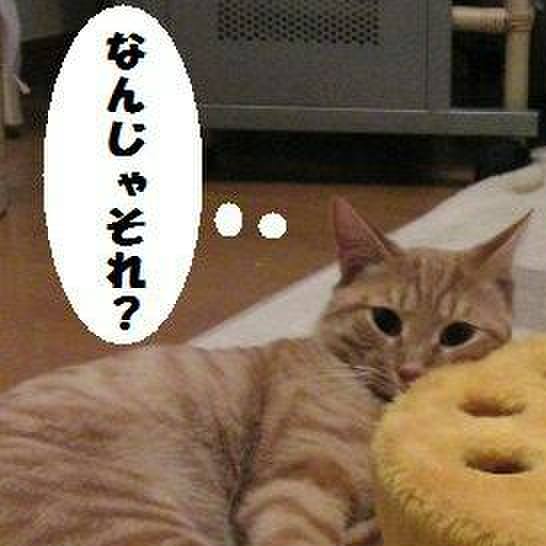 49fac08f 874b 42cd a46d f0424a5729d2