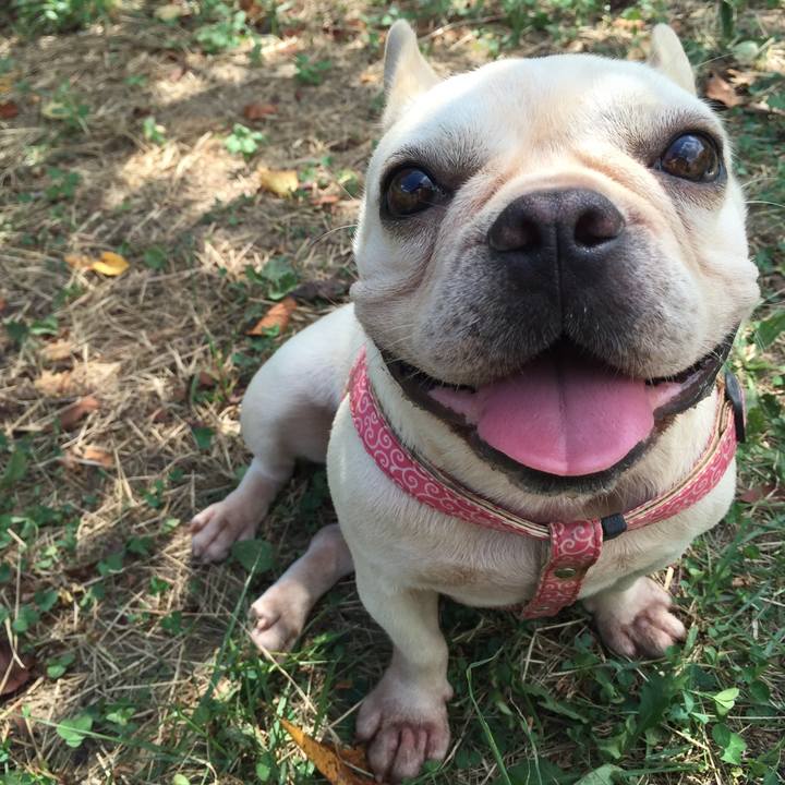 49fba1a9 8aa2 4255 aeba cf1d054a5b6d