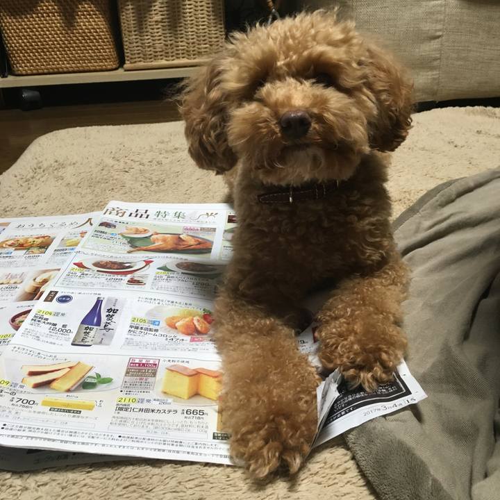 49fbb338 1c3b 487c befb 17d3635cb047