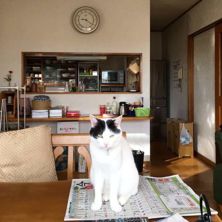 49fbc669 fe4f 42e0 a421 3555cb5578cd