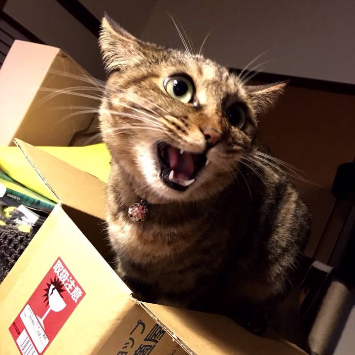 49fbd160 904c 41ea ae4b 47fc11df3915