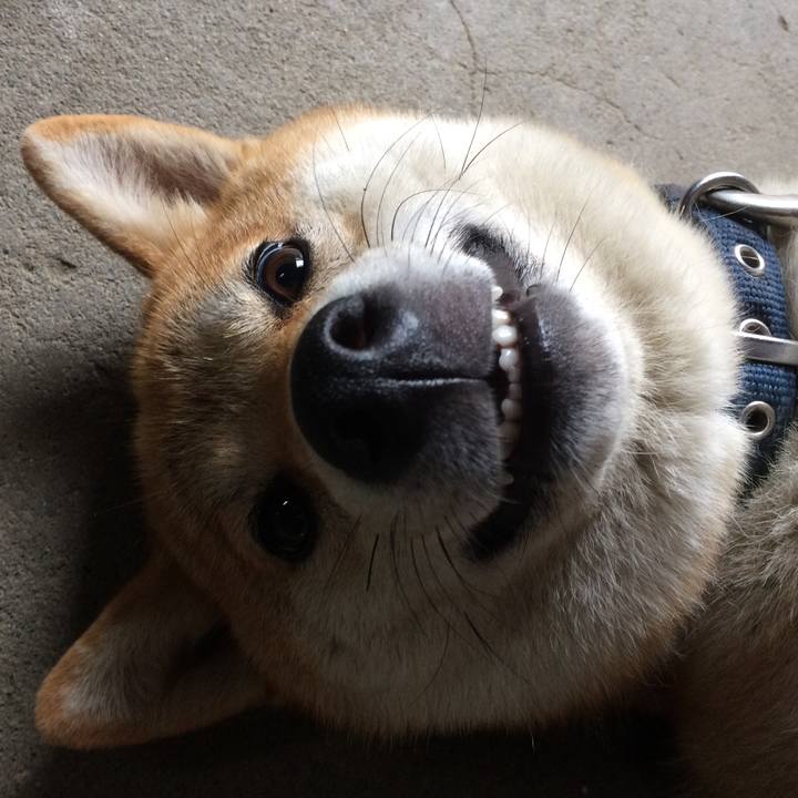 49fc1de3 b4ef 4791 8711 ae3f2aebdf87