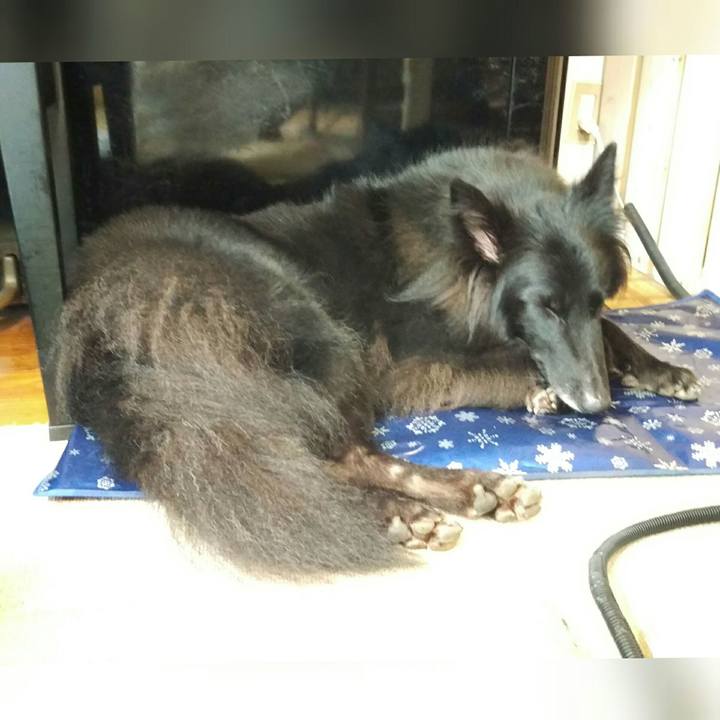 49fc2967 de0f 430b bb25 6be2cd785ee7